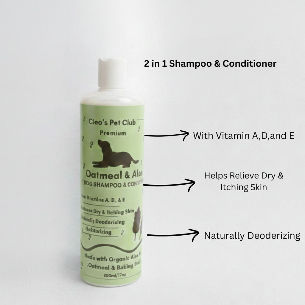 Bath Basic- Two in 1 Oatmeal and Aloe Shampoo & Conditioner