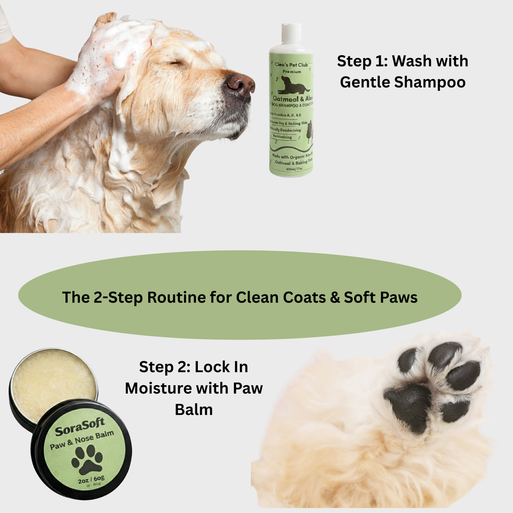 Dog being washed with shampoo, showing a 2-step routine for clean coats and soft paws with products displayed.