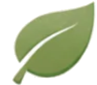 Thoughtful Pet Care You Can Trust