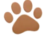 Curated to take best care of your dog